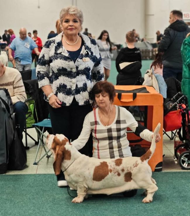 Ari Ari